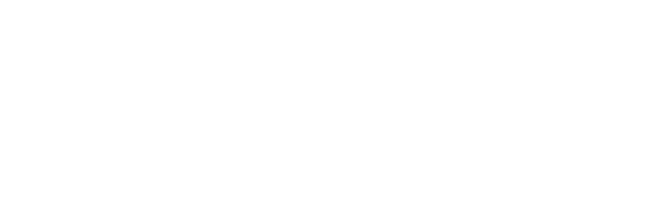 Skyvex Software